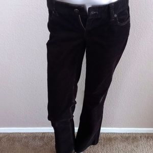 J. CREW PANT